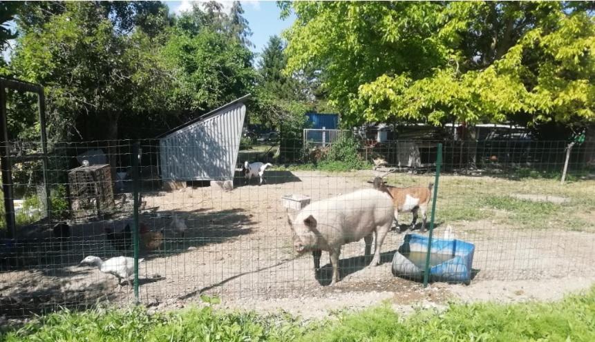 Villa L'Esprit De Famille à Saint-Parres-les-Vaudes Extérieur photo